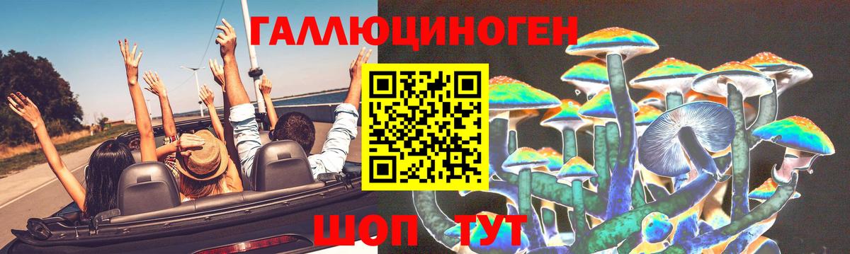 Галлюциногенные грибы MAGIC MUSHROOMS Кимовск